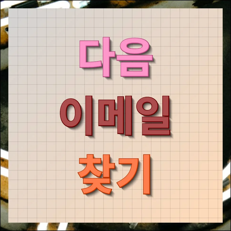 다음 이메일 찾기 5분 해결법