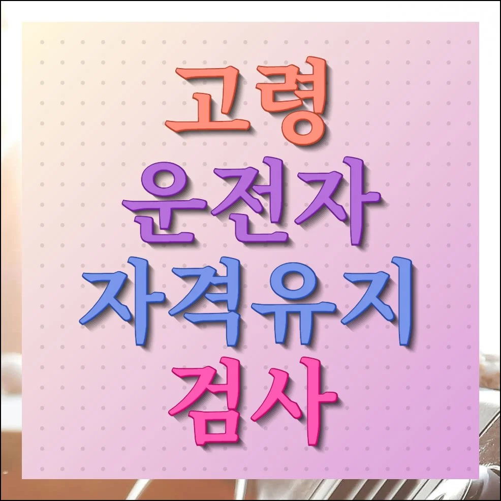 고령자 자격유지검사 신청 방법 및 준비물